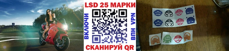 Купить закладки  Гвардейск  Марки NBOMe 1,8мг 