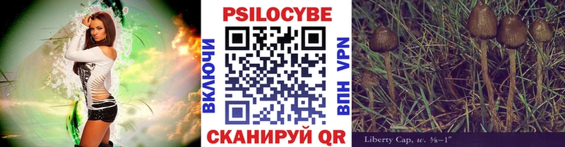 Псилоцибиновые грибы GOLDEN TEACHER  Купить закладки  Гвардейск 
