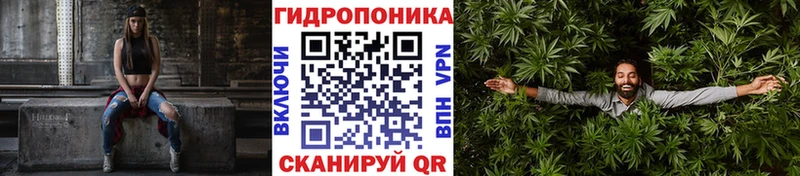 Бошки марихуана планчик  Купить где  Гвардейск 
